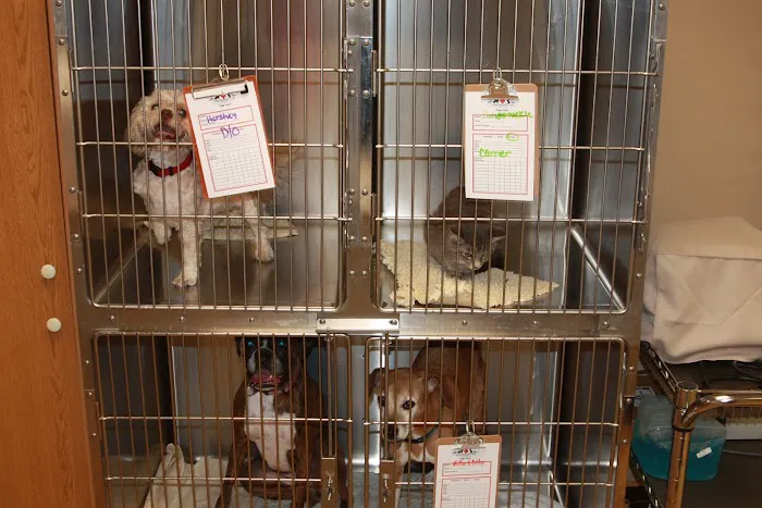 Flanary Veterinary Clinic Picture 4