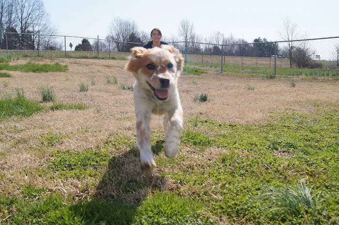 Flanary Veterinary Clinic Picture 9