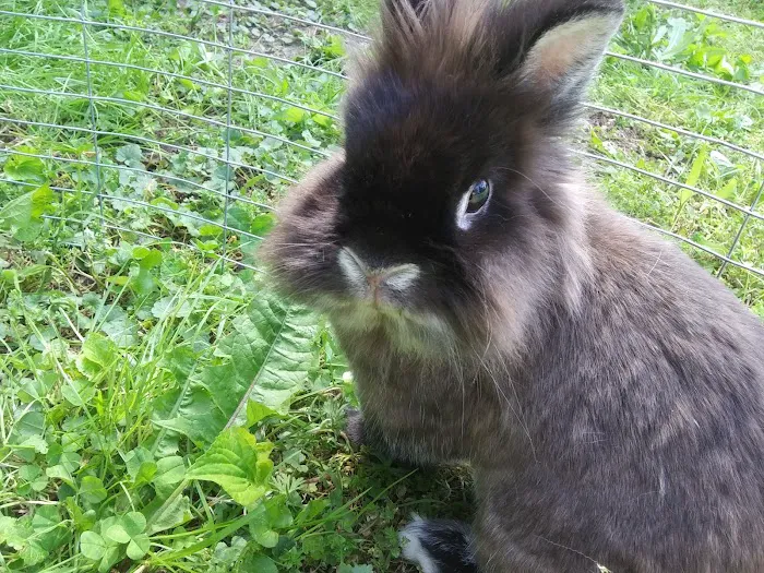 Flanary Veterinary Clinic: Jones Bonnie DVM Picture 1