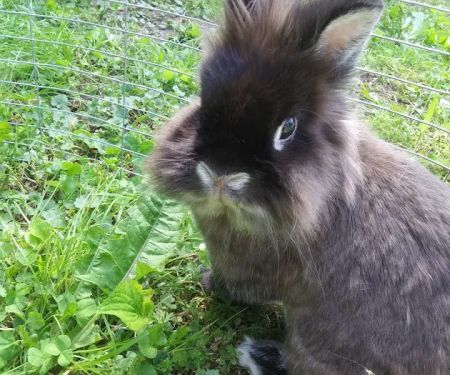 Flanary Veterinary Clinic: Jones Bonnie DVM