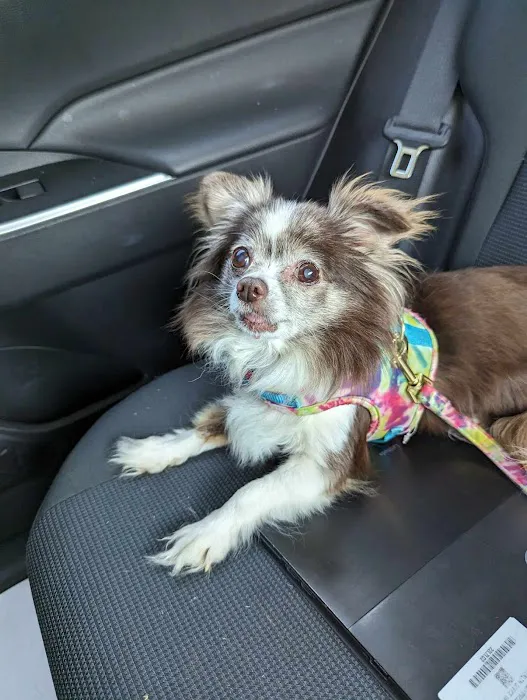 Cummings Veterinary Clinic Picture 3