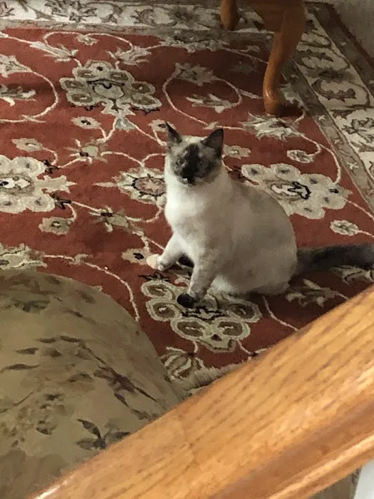 Cummings Veterinary Clinic Picture 4