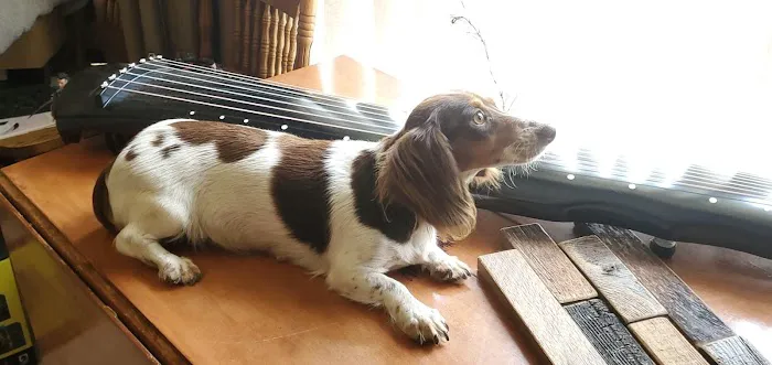 Cummings Veterinary Clinic Picture 2