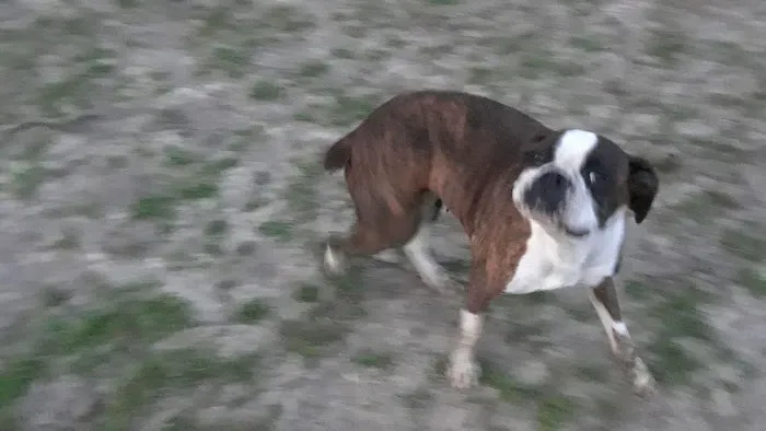 Cummings Veterinary Clinic Picture 6