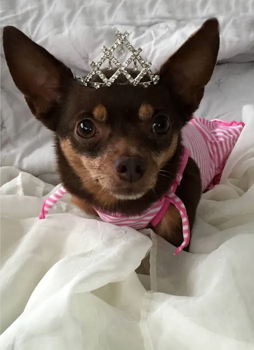 Cummings Veterinary Clinic Picture 7