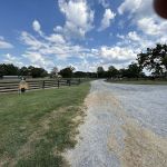 Kentucky Lake Equine Hospital