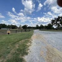 Kentucky Lake Equine Hospital ico
