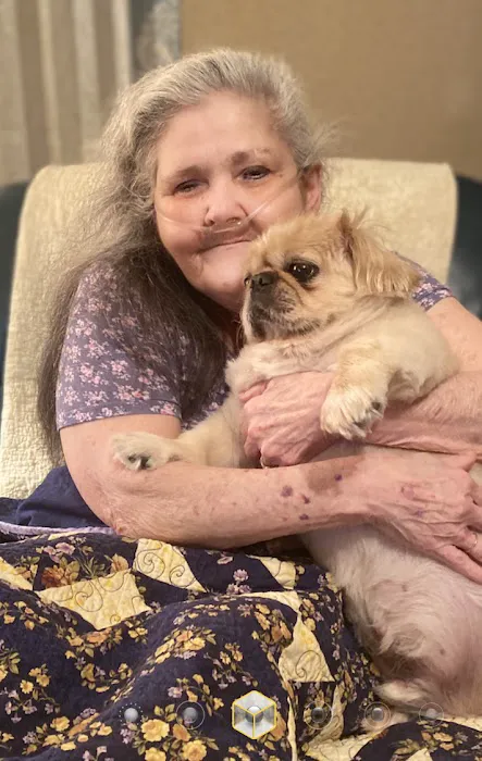 Paducah Veterinary Clinic Picture 1