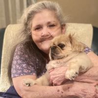 Paducah Veterinary Clinic ico