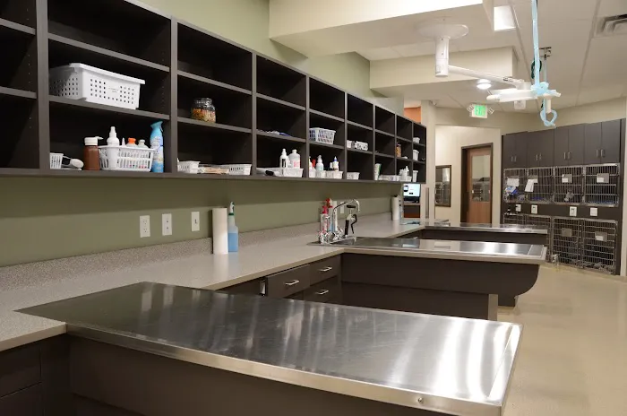 Lone Oak Animal Clinic Picture 2