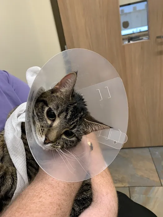 Lone Oak Animal Clinic Picture 6