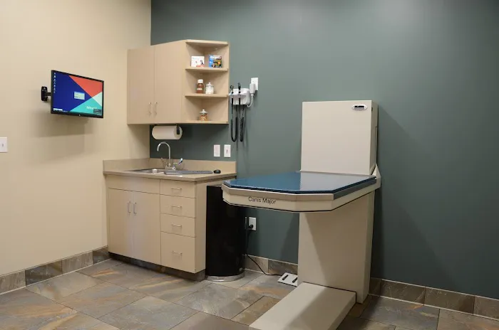 Lone Oak Animal Clinic Picture 5