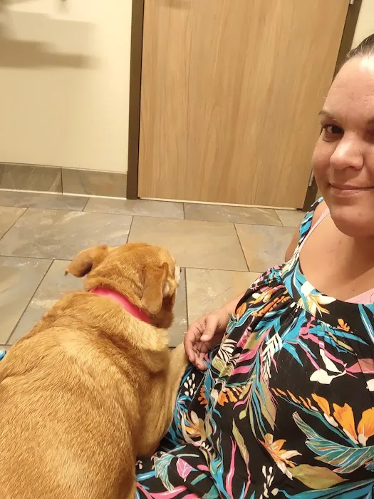 Lone Oak Animal Clinic Picture 7