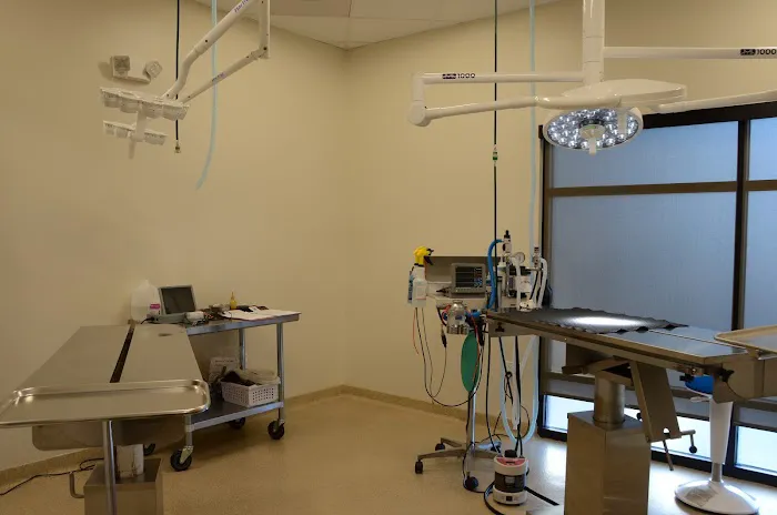 Lone Oak Animal Clinic Picture 9