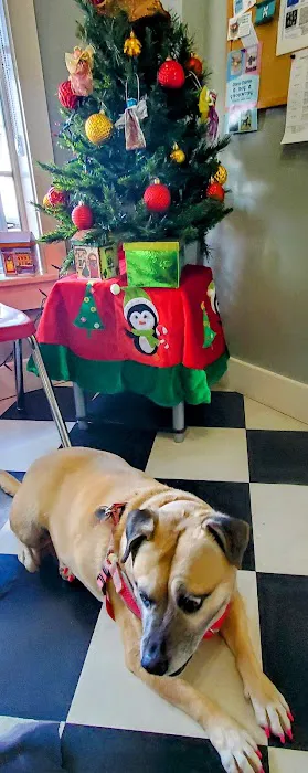 Animal Health & Wellness Center Picture 5