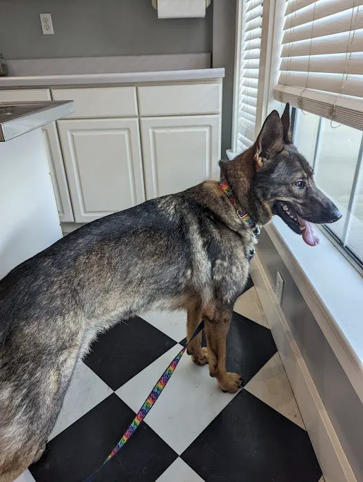 Animal Health & Wellness Center Picture 4