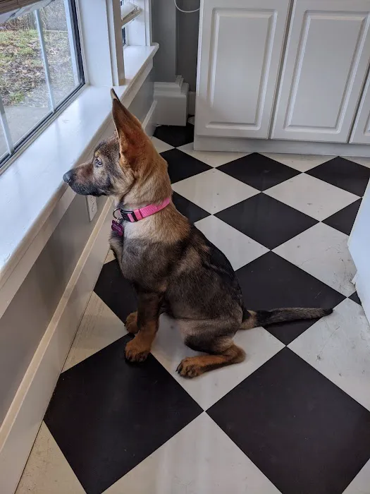 Animal Health & Wellness Center Picture 7