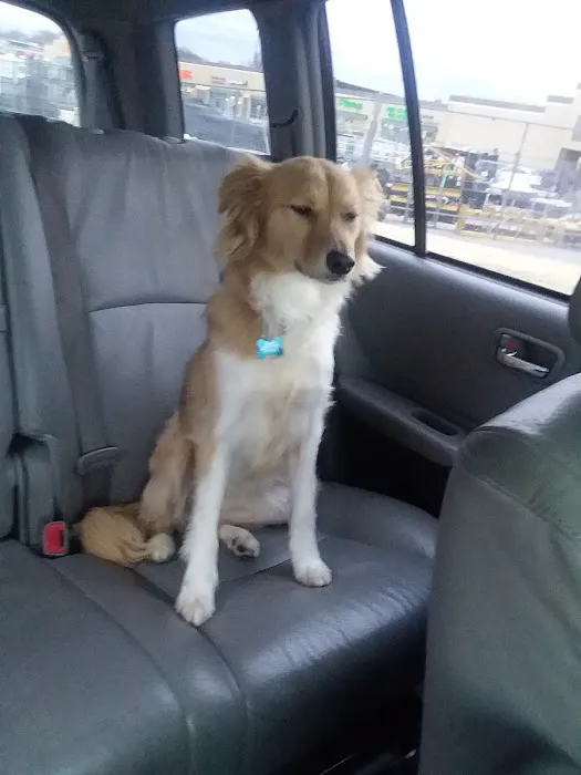 Animal Health & Wellness Center Picture 8