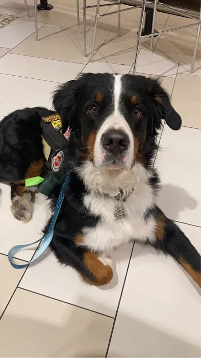 Murray Animal Hospital Picture 5