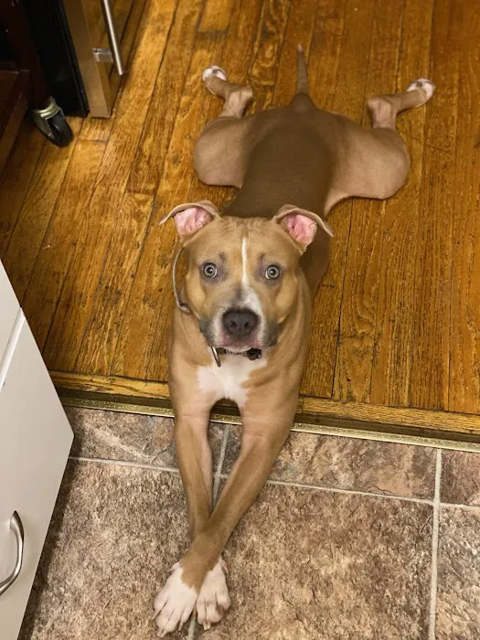 Murray Animal Hospital Picture 1