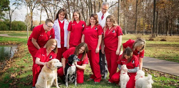 Murray Animal Hospital Picture 3