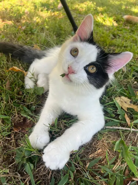 Murray Animal Hospital Picture 10