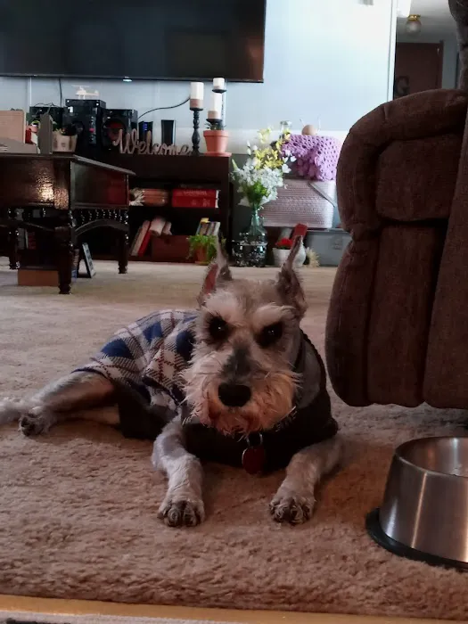 Murray Animal Hospital Picture 9