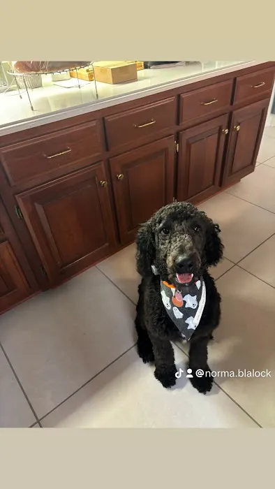 Murray Animal Hospital Picture 7