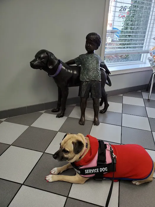 Murray Animal Hospital Picture 8