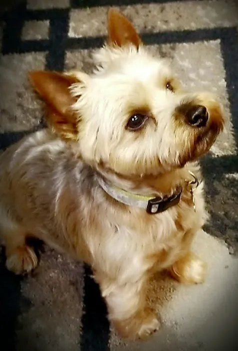 Murray Animal Hospital Picture 6