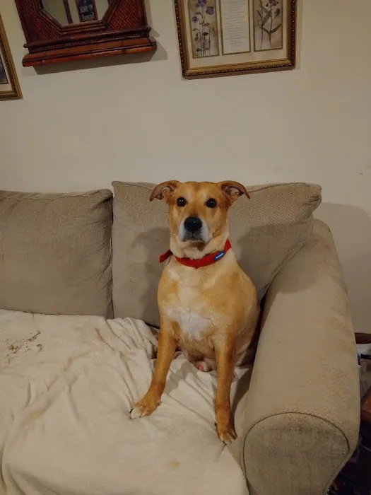 Mayfield Veterinary Clinic, PSC Picture 3