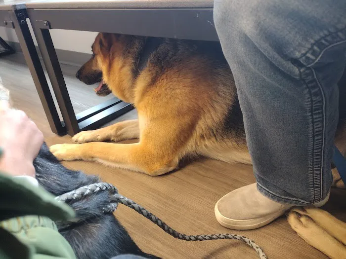 Mayfield Veterinary Clinic, PSC Picture 6