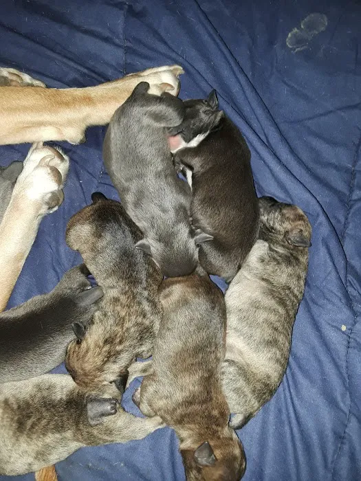 Mayfield Veterinary Clinic, PSC Picture 8