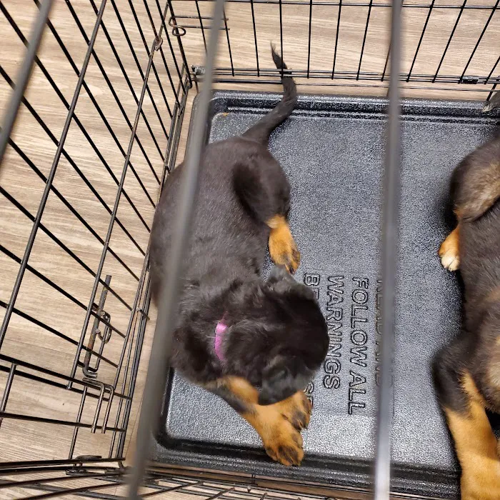 Mayfield Veterinary Clinic, PSC Picture 10