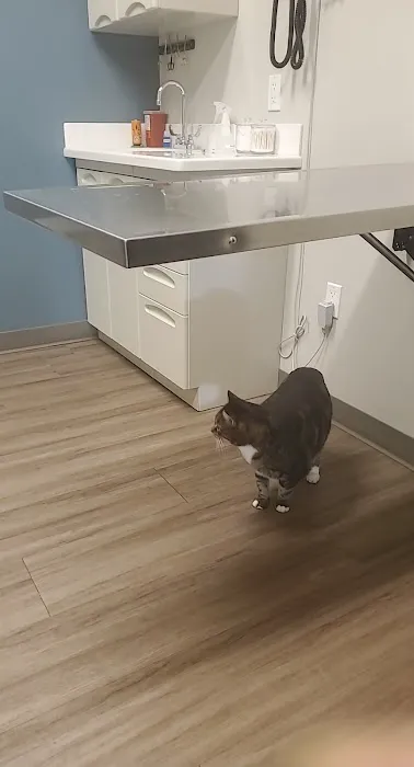 Dr. Badger. DVM, CVC, CVA Picture 2