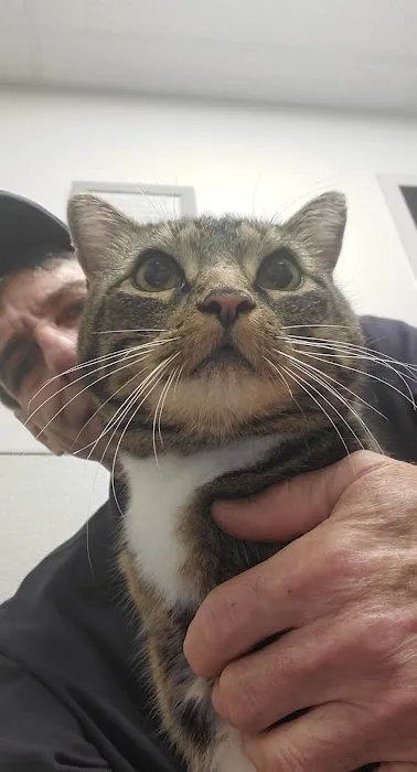 Dr. Badger. DVM, CVC, CVA Picture 4