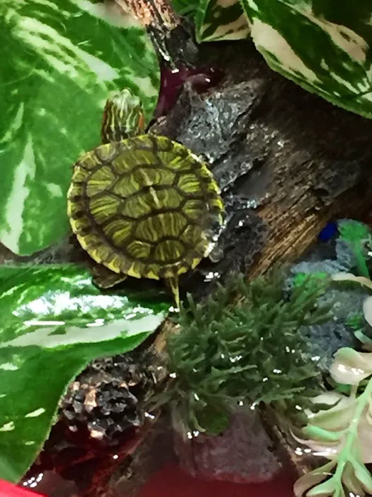 Union County Animal Clinic Picture 2