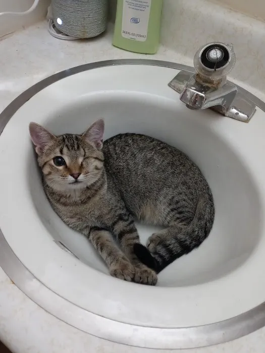 Union County Animal Clinic Picture 1