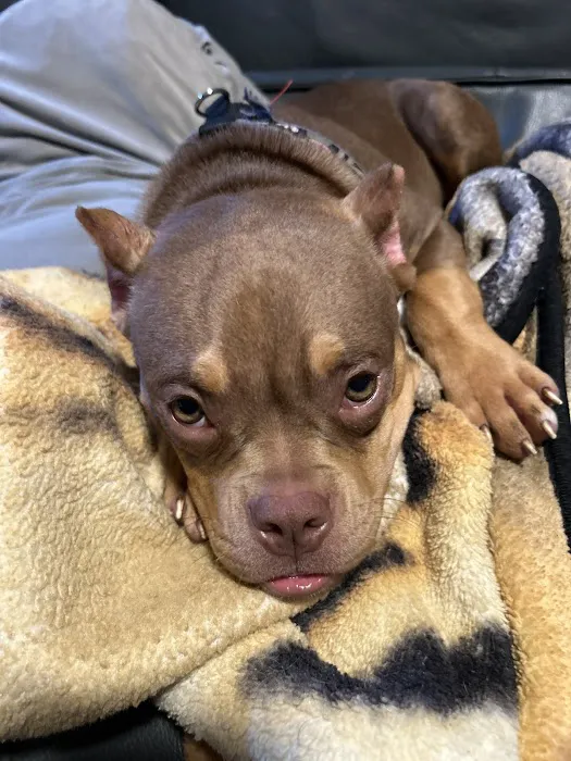 Union County Animal Clinic Picture 7