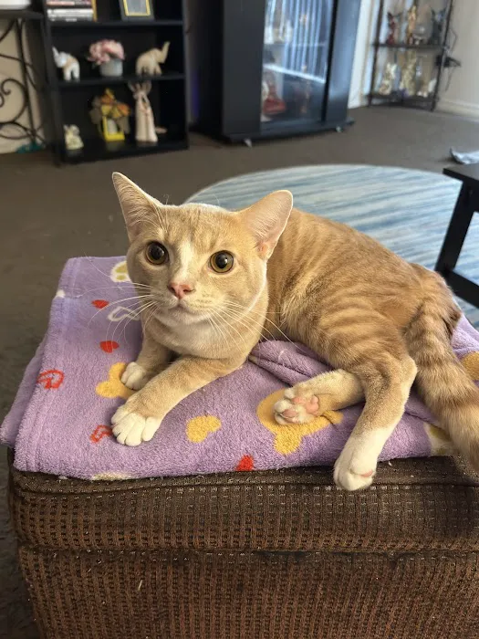 Union County Animal Clinic Picture 6