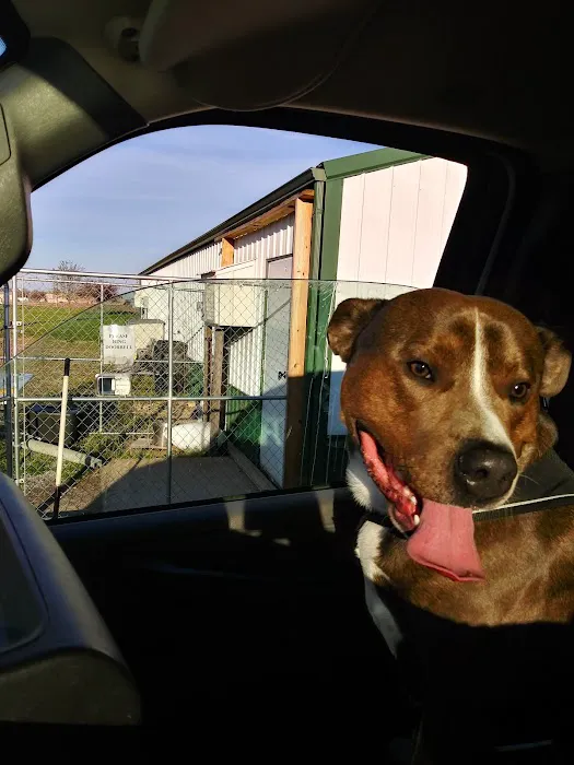 Union County Animal Clinic Picture 5