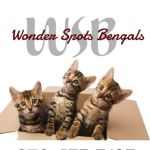 Wonder Spots Bengals