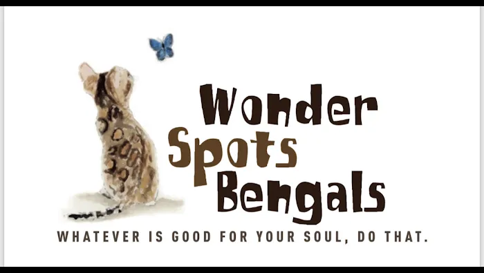 Wonder Spots Bengals Picture 2