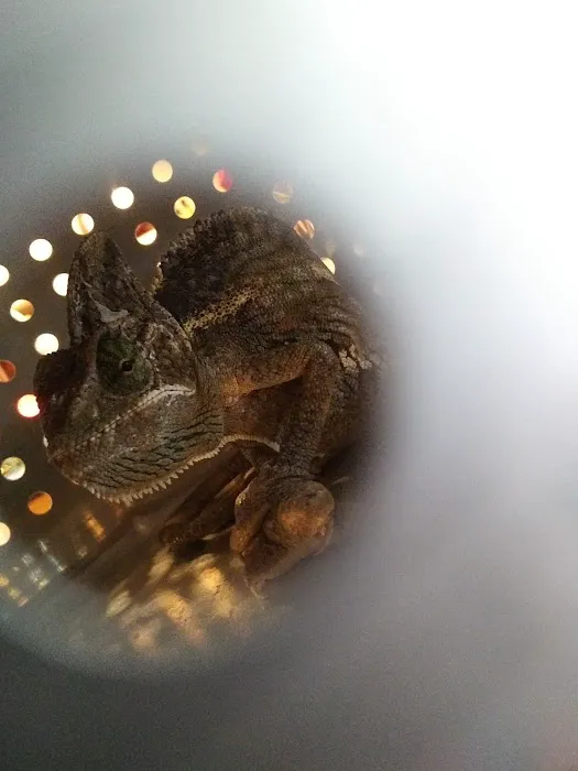 Nature's Oasis Animal Hospital Picture 1