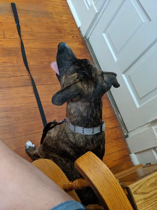 Saugahatchee Animal Hospital Picture 4