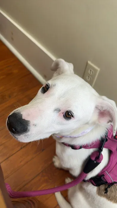 Saugahatchee Animal Hospital Picture 2