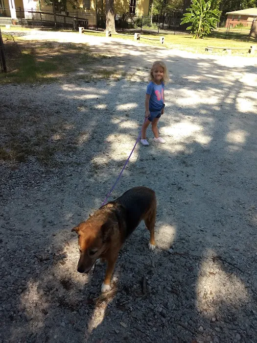 Saugahatchee Animal Hospital Picture 7