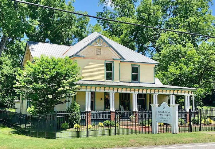 Saugahatchee Animal Hospital Picture 8