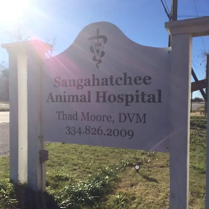 Saugahatchee Animal Hospital Picture 9