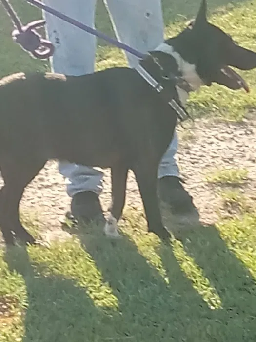 Caldwell, Holley G Picture 2